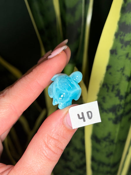 Larimar Turtle - 40