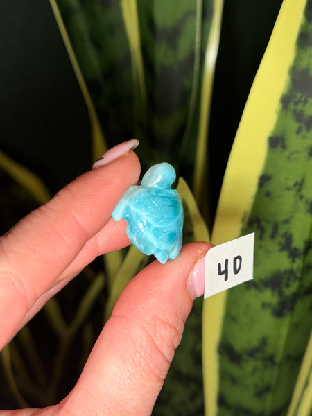 Larimar Turtle - 40