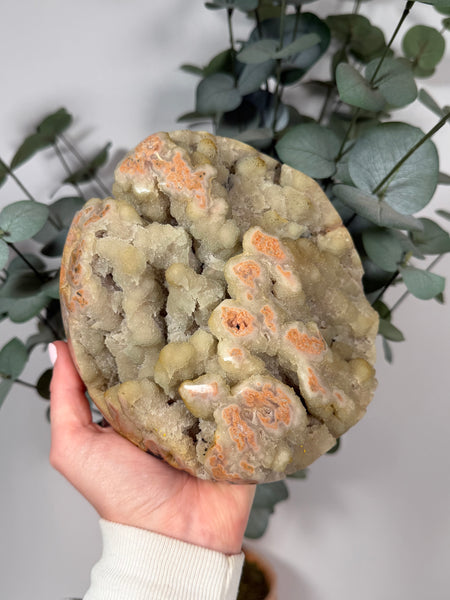 Mint Druzy x Peach Jasper - 454