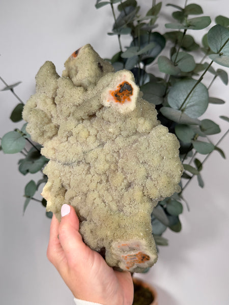 Mint Druzy x Peach Jasper - 512