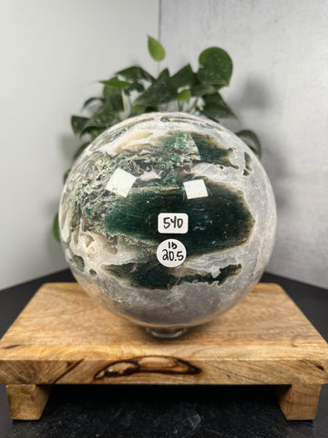 Moss Agate Sphere - 540