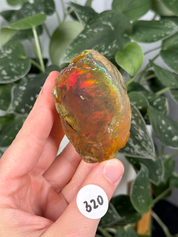 Ethiopian Water Opal - 320