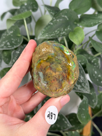 Ethiopian Water Opal - 287