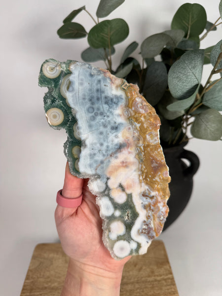 8th Vein Ocean Jasper Slab - 438