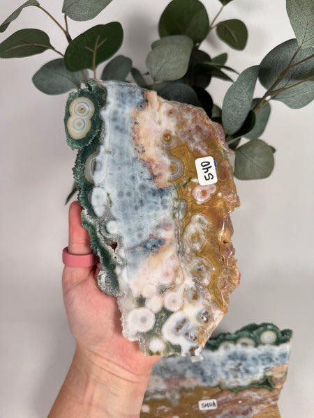8th Vein Ocean Jasper Slabs - you pick