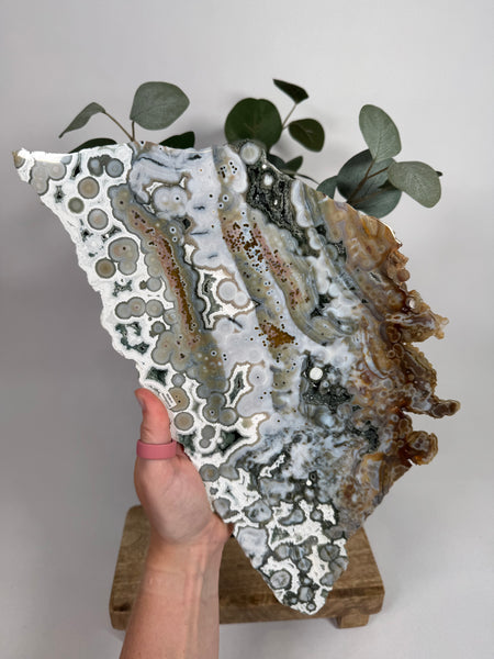 8th Vein Ocean Jasper Slab