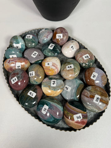 Sea Jasper Palms - you pick