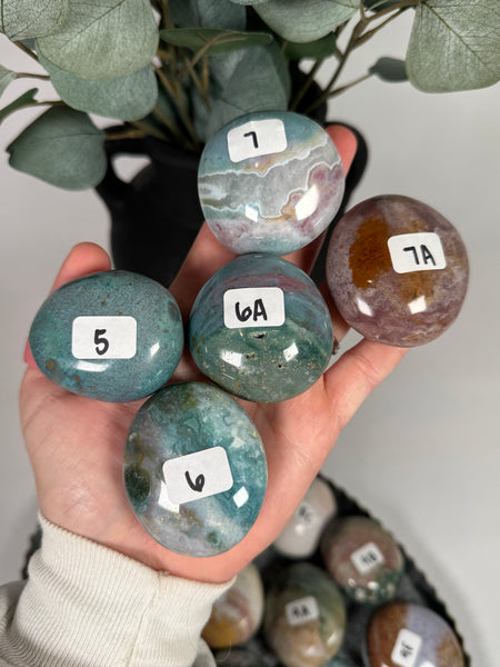 Sea Jasper Palms - you pick