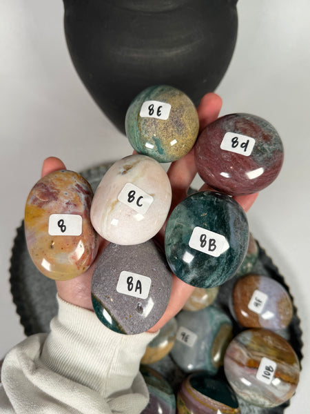 Sea Jasper Palms - you pick