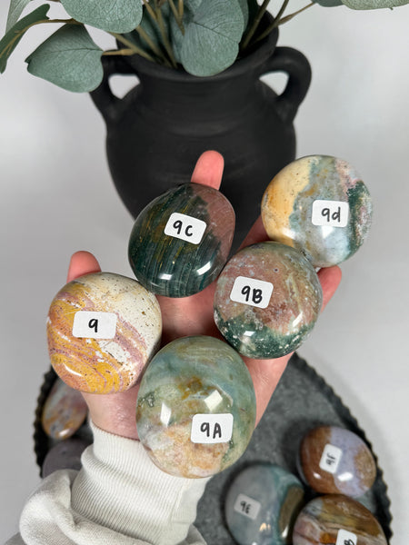 Sea Jasper Palms - you pick