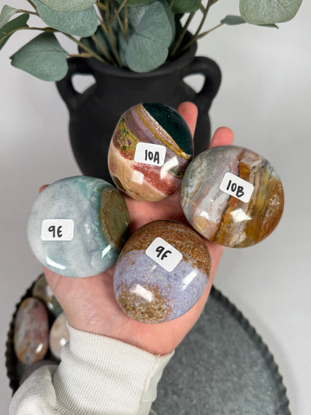 Sea Jasper Palms - you pick