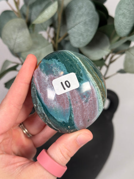 Sea Jasper Palms - you pick