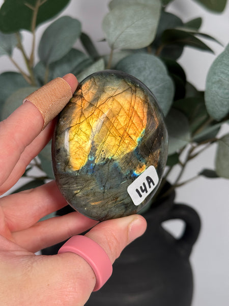 Labradorite Palms - you pick