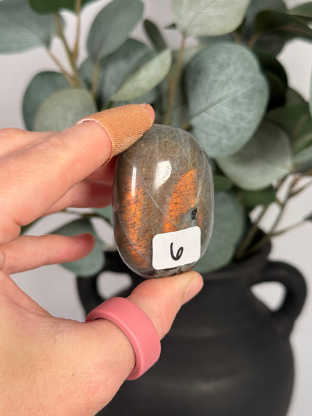 Labradorite Palms - you pick