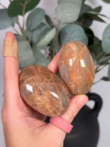 Peach Moonstone Palms - mystery