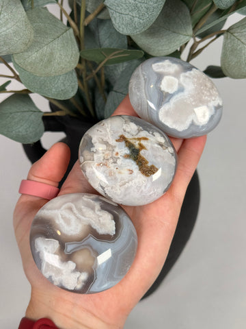 Flower Agate Palms - mystery