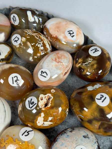 Carnelian x Orca Palms - mystery