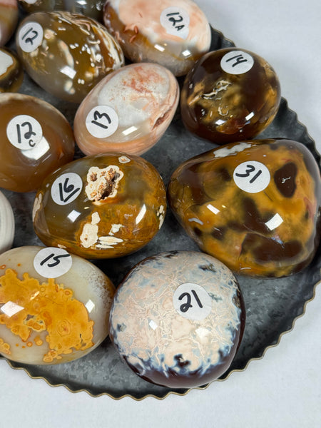 Carnelian x Orca Palms - mystery