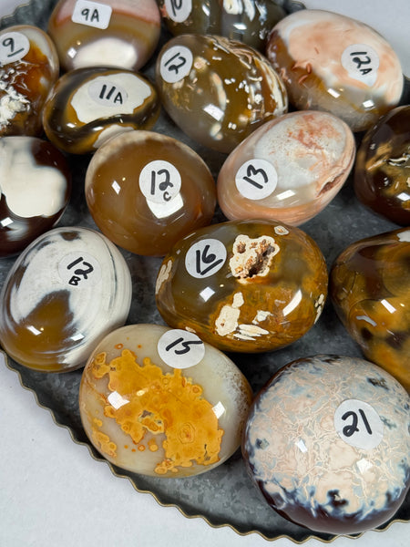 Carnelian x Orca Palms - mystery