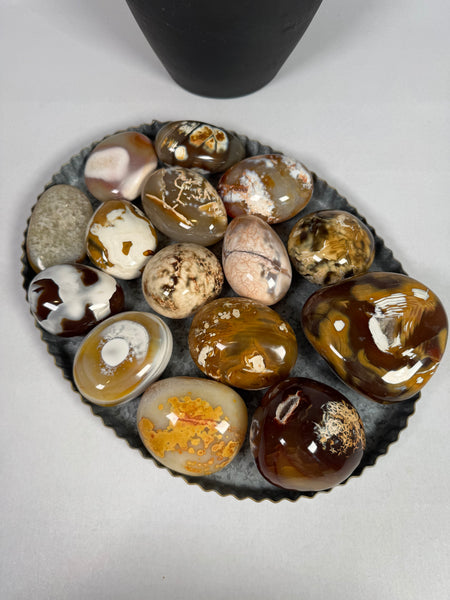 Carnelian x Orca Palms - mystery