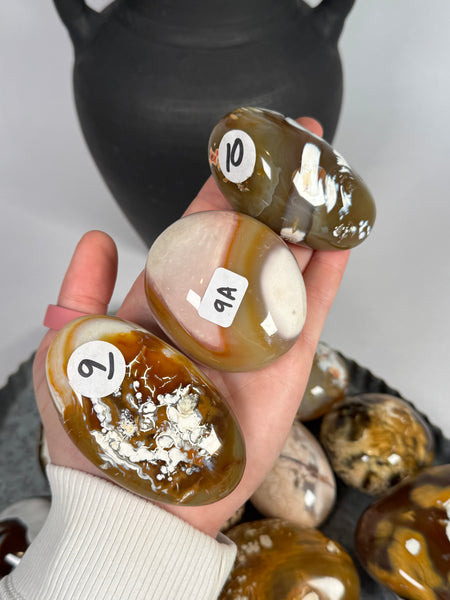 Carnelian x Orca Palms - mystery