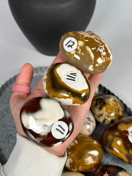 Carnelian x Orca Palms - mystery