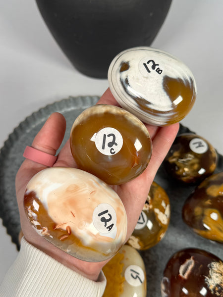 Carnelian x Orca Palms - mystery