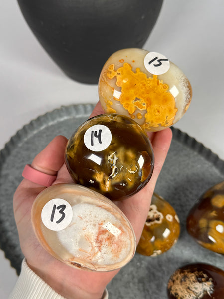 Carnelian x Orca Palms - mystery