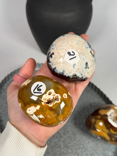Carnelian x Orca Palms - mystery
