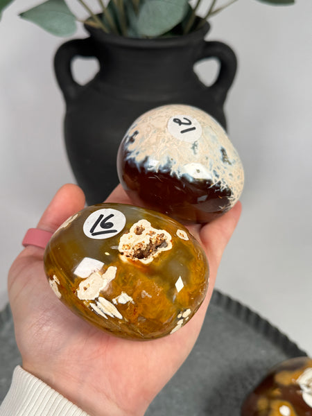 Carnelian x Orca Palms - mystery
