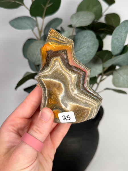 Sea Jasper Flames - you pick