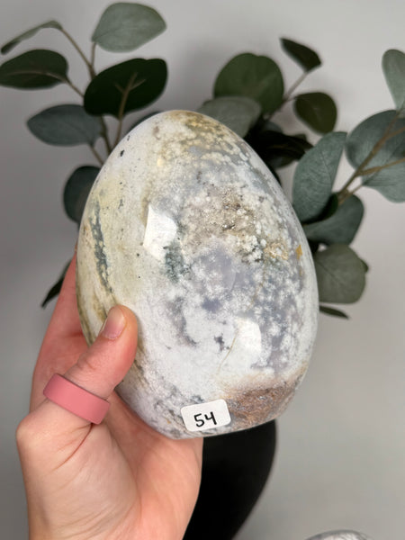Sea Jasper Freeforms - you pick