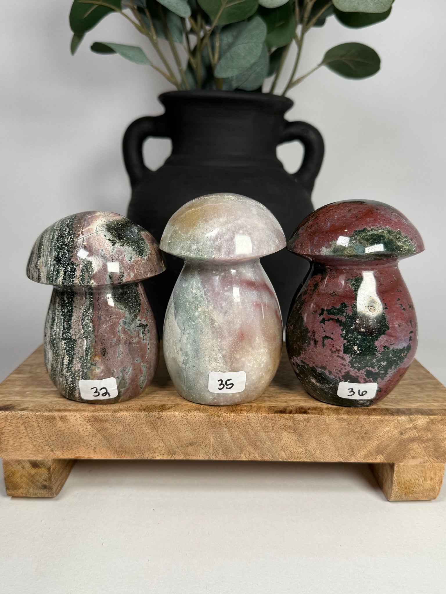 Sea Jasper Mushrooms - you pick