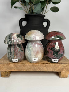Sea Jasper Mushrooms - you pick
