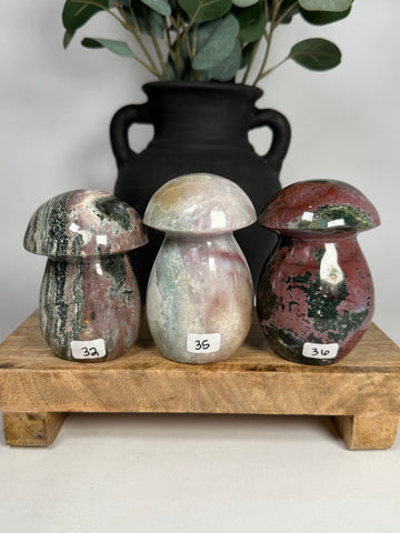 Sea Jasper Mushrooms - you pick
