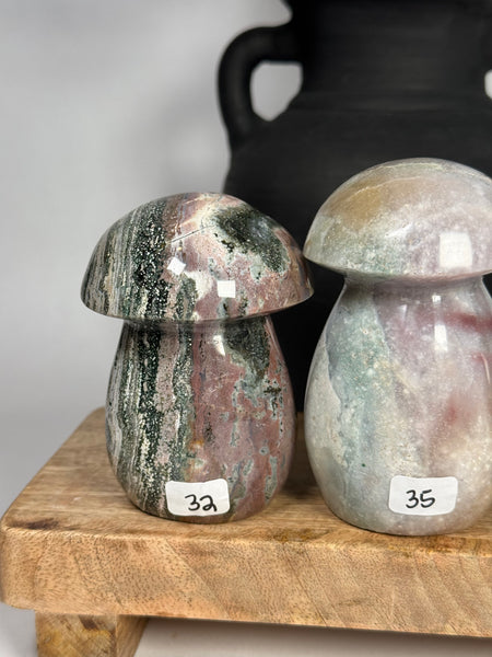 Sea Jasper Mushrooms - you pick