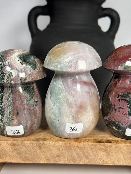 Sea Jasper Mushrooms - you pick