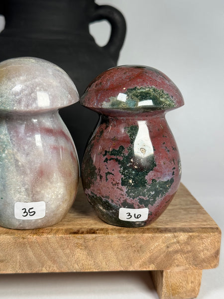 Sea Jasper Mushrooms - you pick