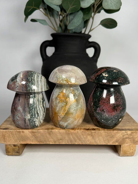 Sea Jasper Mushrooms - you pick