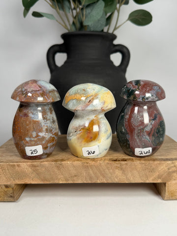 Sea Jasper Mushrooms - you pick