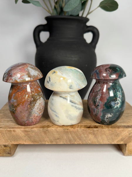 Sea Jasper Mushrooms - you pick