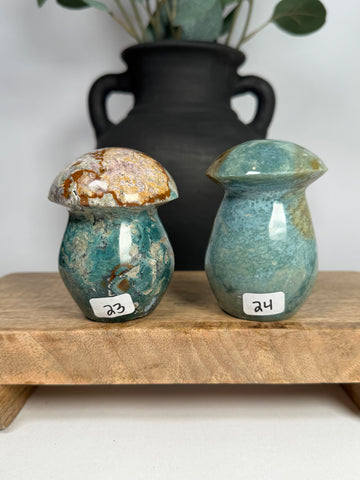 Sea Jasper Mushrooms - you pick