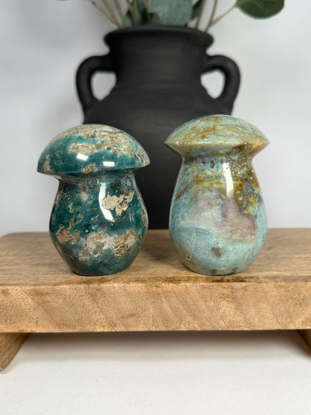 Sea Jasper Mushrooms - you pick