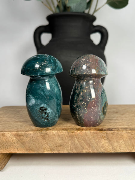 Sea Jasper Mushrooms - you pick