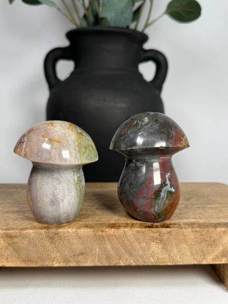 Sea Jasper Mushrooms - you pick