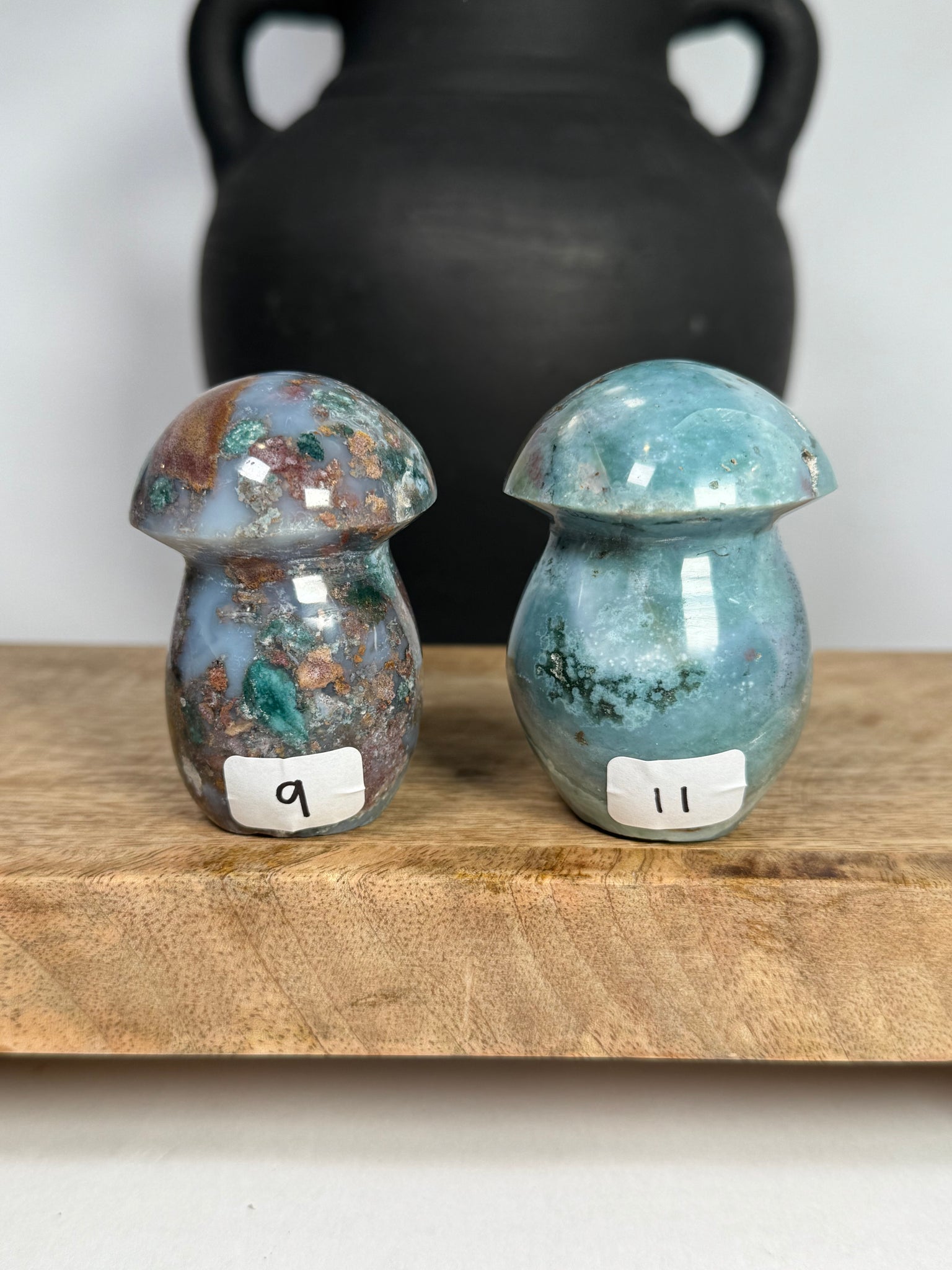 Sea Jasper Mushrooms - you pick