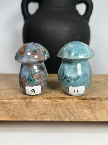 Sea Jasper Mushrooms - you pick