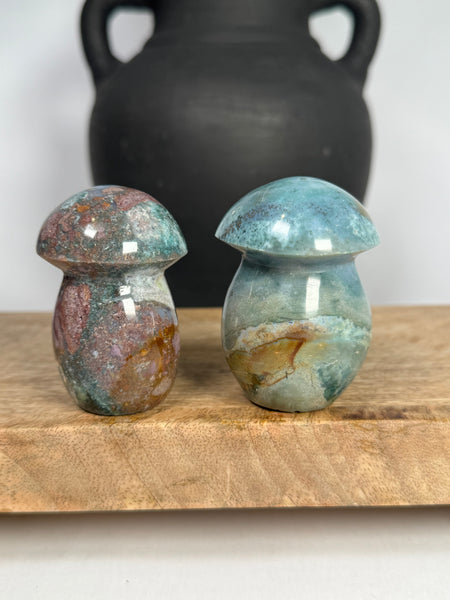 Sea Jasper Mushrooms - you pick