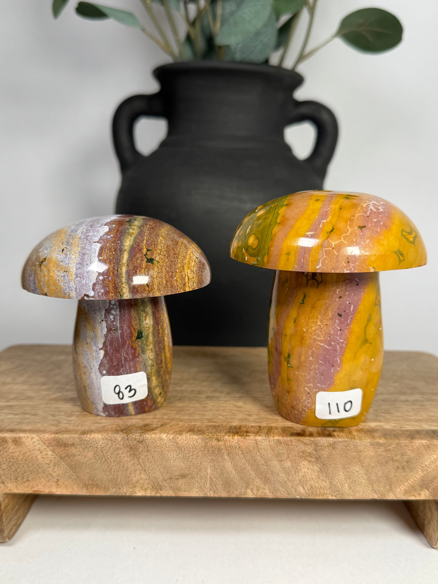 Kabamby Ocean Jasper Mushroom - you pick