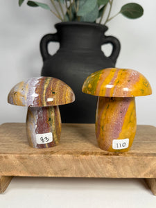Kabamby Ocean Jasper Mushroom - you pick